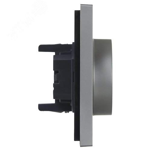 FORTE&PIANO Розетка 2-местная с заземлением с защитными шторками безвинтовое крепление 16А FP523 сталь IEK - фото 4