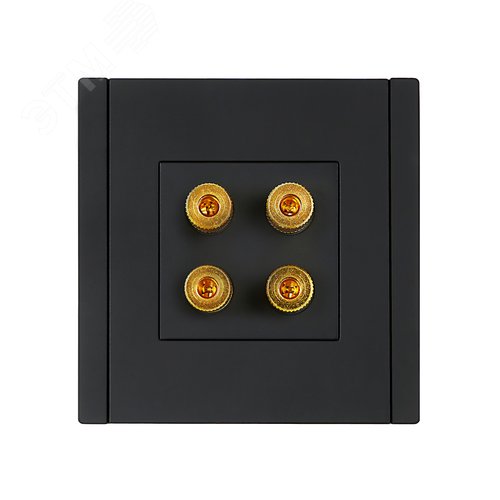 FORTE&PIANO Аудиорозетка 4-местная FP139 черный IEK - фото 2
