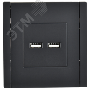 FORTE&PIANO Розетка USB A+A 3,1А FP149 черный IEK - фото 2