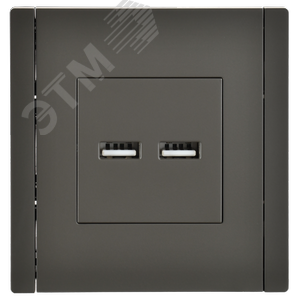 FORTE&PIANO Розетка USB A+A 3,1А FP349 серый IEK - фото 2