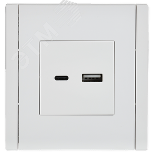 FORTE&PIANO Розетка USB A+C 18Вт FP251 белый IEK - фото 2