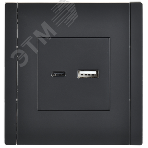 FORTE&PIANO Розетка USB A+C 18Вт FP151 черный IEK - фото 2
