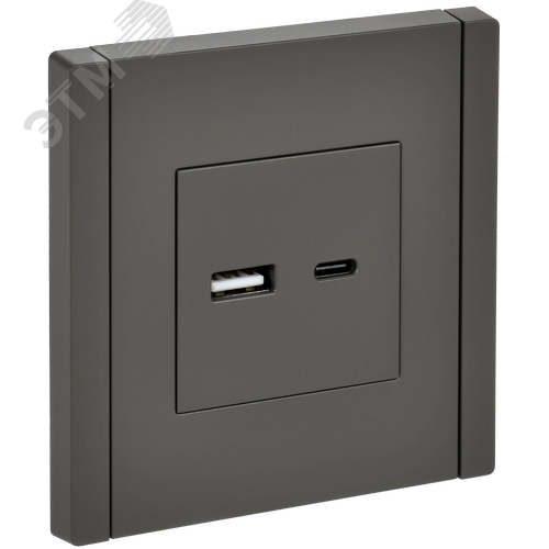FORTE&PIANO Розетка USB A+C 18Вт FP351 серый IEK - фото 1