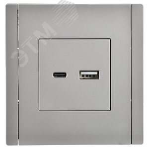 FORTE&PIANO Розетка USB A+C 18Вт FP551 сталь IEK - фото 2