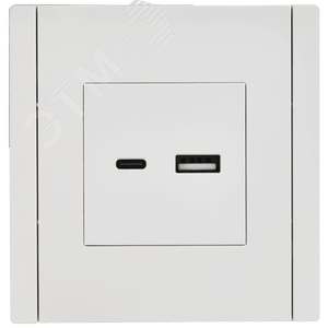 FORTE&PIANO Розетка USB A+C 3,1А FP250 белый IEK - фото 2