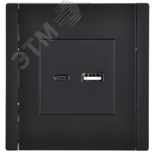 FORTE&PIANO Розетка USB A+C 3,1А FP150 черный IEK - фото 2