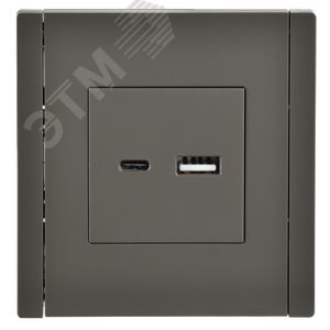 FORTE&PIANO Розетка USB A+C 3,1А FP350 серый IEK - фото 2