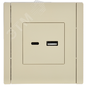 FORTE&PIANO Розетка USB A+C 3,1А FP450 ваниль IEK - фото 2