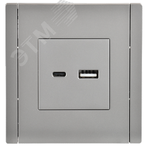 FORTE&PIANO Розетка USB A+C 3,1А FP550 сталь IEK - фото 2