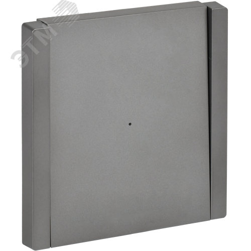 FORTE&PIANO Выключатель 1-клавишный с индикацией 10А FP502 сталь IEK - фото 1