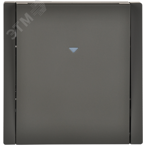 FORTE&PIANO Выключатель карточный 30А FP343 серый IEK - фото 2