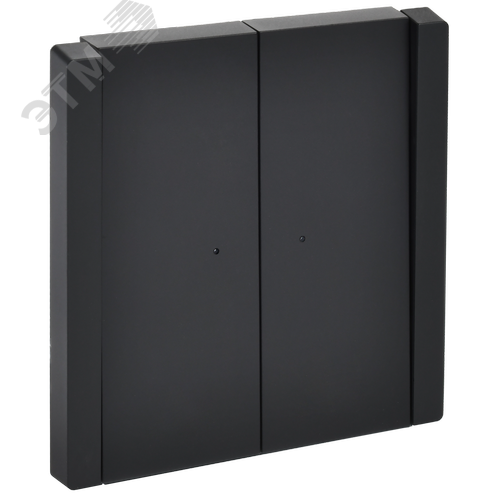 Изображение товара FORTE&PIANO Выключатель 2-клавишный проходной с индикацией 10А FP108 черный IEK (шт)