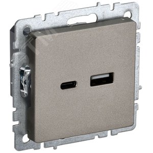 BRITE Розетка USB A+C 18Вт РЮ11-1-БрШ шампань - фото 1