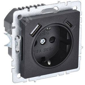 BRITE Розетка с заземлением с защитными шторками 16А с USB A+C 18Вт РЮш11-1-БрЧ черный - фото 1