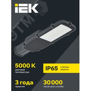 Светильник LED консольный уличный ДКУ 1002-100Д 5000К IP65 серый - фото 2