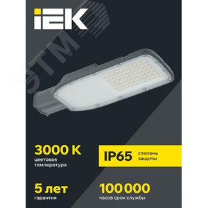 Светильник LED консольный уличный ДКУ 1004-100Ш 3000К IP65 серый - фото 2