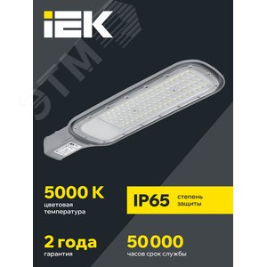Светильник LED консольный уличный ДКУ 1012-100Ш 5000К IP65 серый - фото 2