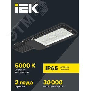 Светильник LED консольный уличный ДКУ 1013-100Д 5000К IP65 артикул ...