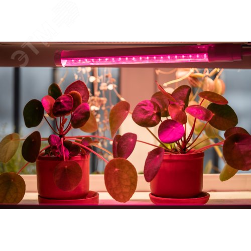 Светильник светодиодный для растений ДБЛ 04 14 Вт 1173 мм LIGHTING - фото 5