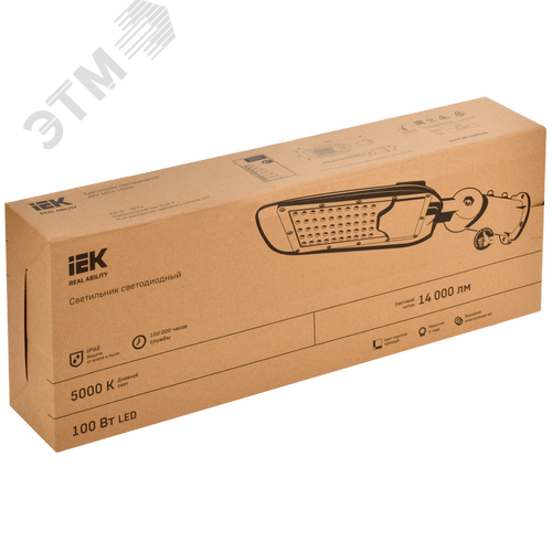 Светильник LED PRO консольный уличный ДКУ 1014-100Ш 5000К IP65 - фото 7