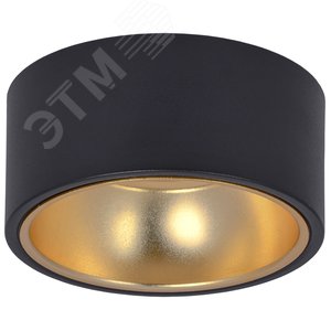 Светильник 4017 накладной потолочный под лампу GX53 черный/золото