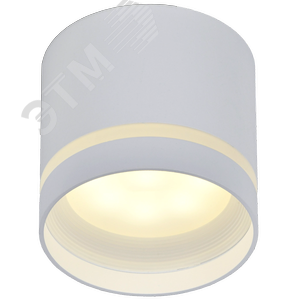 Светильник 4016 накладной потолочный под лампу GX53 белый - фото 2