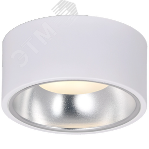 Светильник 4017 накладной потолочный под лампу GX53 белый/хром - фото 2