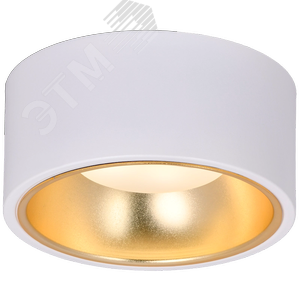Светильник 4017 накладной потолочный под лампу GX53 белый/золото - фото 2