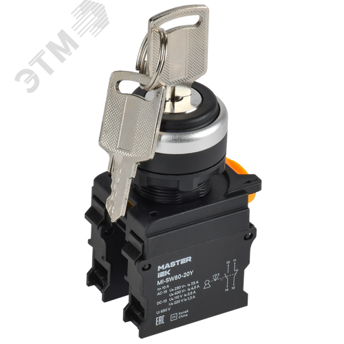 Изображение товара Переключатель с ключом на 3 положения 2NO чёрный MASTER (шт)