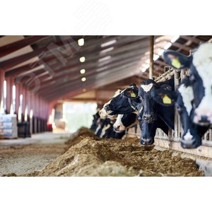 Светильник LIGHTING PRO ДСП 1471 18 Вт 5000 К IP69 пластик PMMA - фото 5