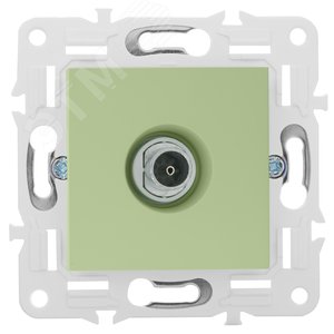 SKANDY Розетка TV оконечная SK-A12G мятный IEK - фото 2