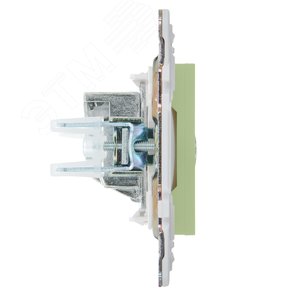 SKANDY Розетка TV оконечная SK-A12G мятный IEK - фото 4