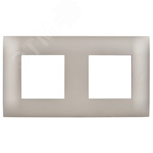 SKANDY Рамка 2-местная SK-F02Sh шампань IEK - фото 2