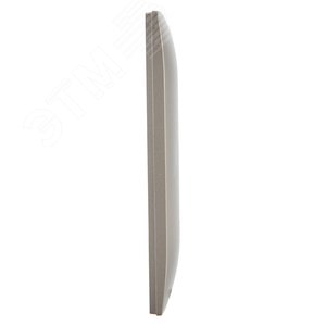 SKANDY Рамка 2-местная SK-F02Sh шампань IEK - фото 4