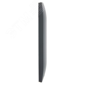 SKANDY Рамка 2-местная SK-F02G графит IEK - фото 4