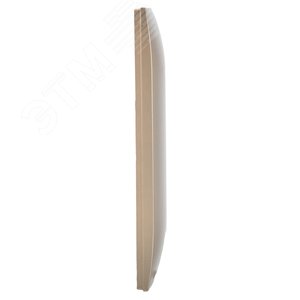 SKANDY Рамка 2-местная SK-F02Sa песочный IEK - фото 4