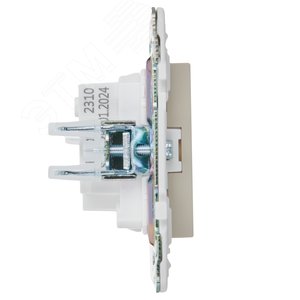 SKANDY Розетка без заземления без защитных шторок 10А SK-R02B бежевый IEK - фото 4