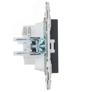 SKANDY Розетка без заземления без защитных шторок 10А SK-R02G графит IEK - фото 4