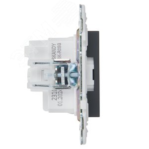 SKANDY Розетка с заземлением без защитных шторок 16А SK-R05G графит IEK - фото 4