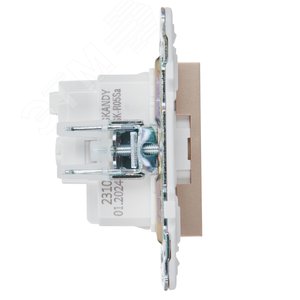 SKANDY Розетка с заземлением без защитных шторок 16А SK-R05Sa песочный IEK - фото 4