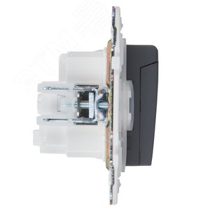 SKANDY Розетка 1-местная с заземлением с защитными шторками и крышкой 16А IP44 SK-R11T титан IEK - фото 4