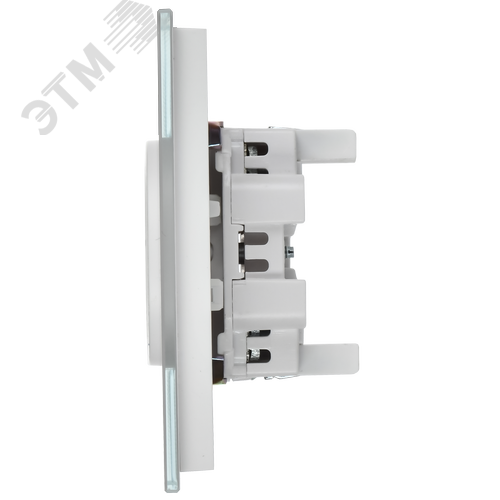 SKANDY Розетка 2-местная без заземления без защитных шторок для плоской вилки 10А SK-R03W стекло арктический белый - фото 4