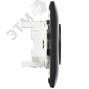 SKANDY Розетка 2-местная без заземления без защитных шторок 10А в сборе SK-R10Bl черный IEK - фото 4