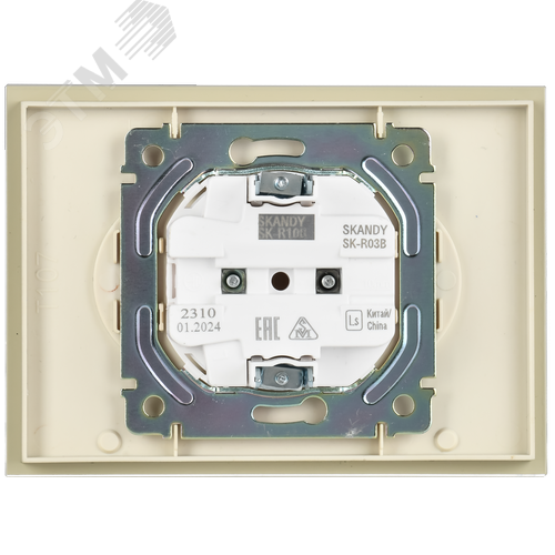 SKANDY Розетка 2-местная без заземления без защитных шторок для плоской вилки 10А SK-R03B стекло бежевый - фото 5