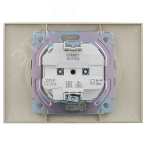 SKANDY Розетка 2-местная без заземления без защитных шторок 10А в сборе SK-R10Sh шампань IEK - фото 3