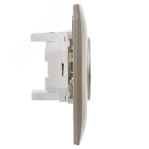 SKANDY Розетка 2-местная без заземления без защитных шторок 10А в сборе SK-R10Sh шампань IEK - фото 4