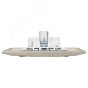 SKANDY Розетка 2-местная без заземления без защитных шторок 10А в сборе SK-R10Sh шампань IEK - фото 5