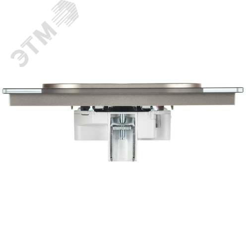 SKANDY Розетка 2-местная без заземления без защитных шторок для плоской вилки 10А SK-R03Sh стекло шампань - фото 3