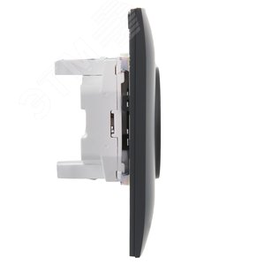 SKANDY Розетка 2-местная без заземления без защитных шторок 10А в сборе SK-R10G графит IEK - фото 4