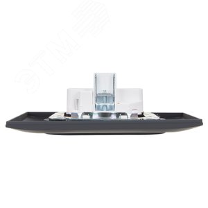 SKANDY Розетка 2-местная без заземления без защитных шторок 10А в сборе SK-R10G графит IEK - фото 5